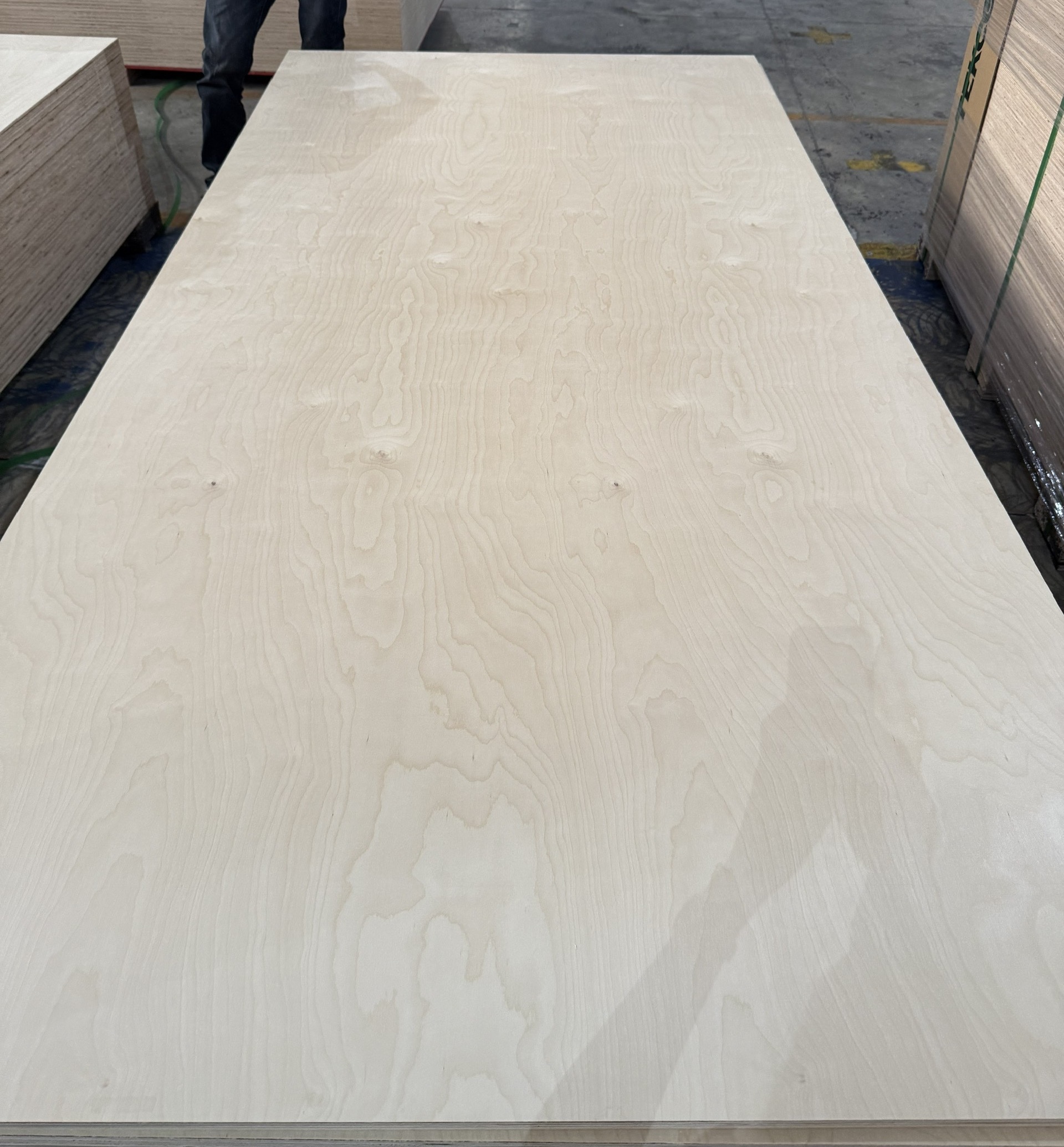 Birch Plywood