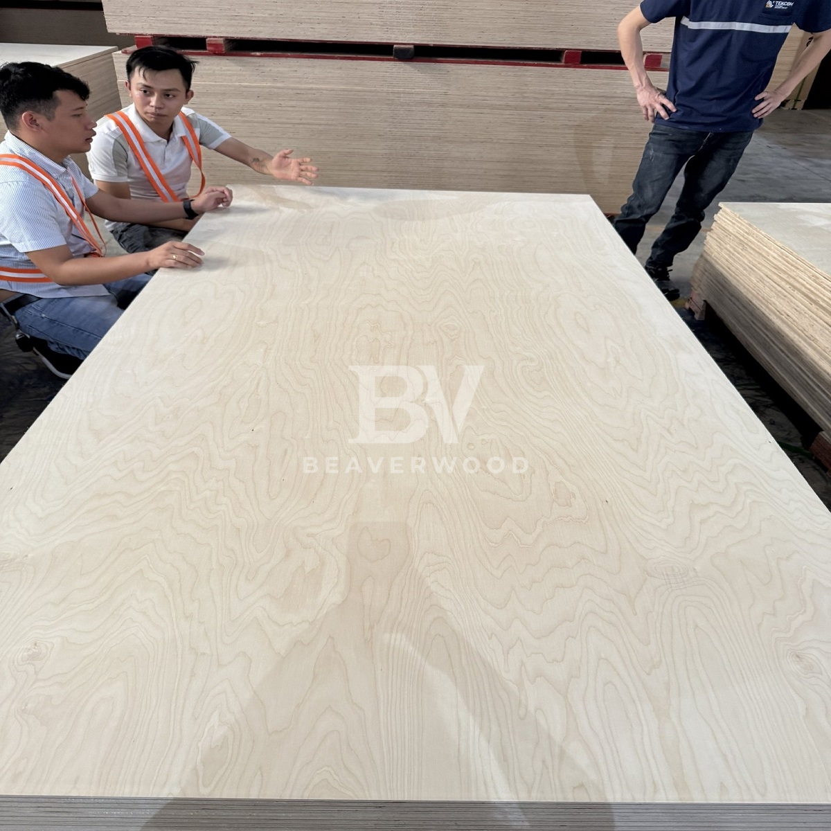 Birch Plywood