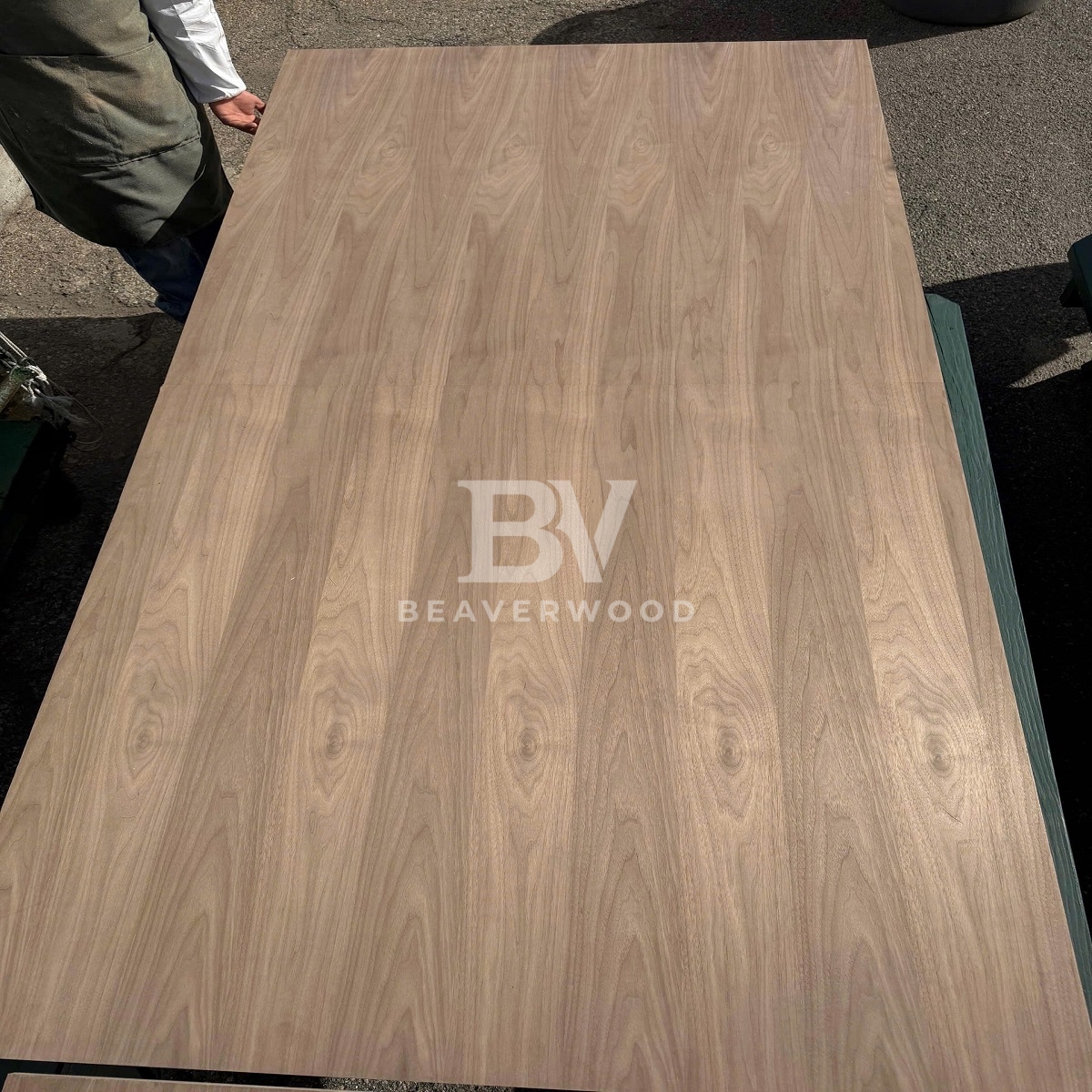 Walnut Veneer Sheet