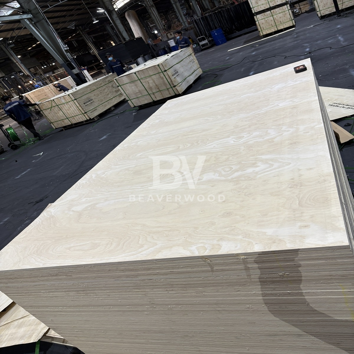 Base Plywood